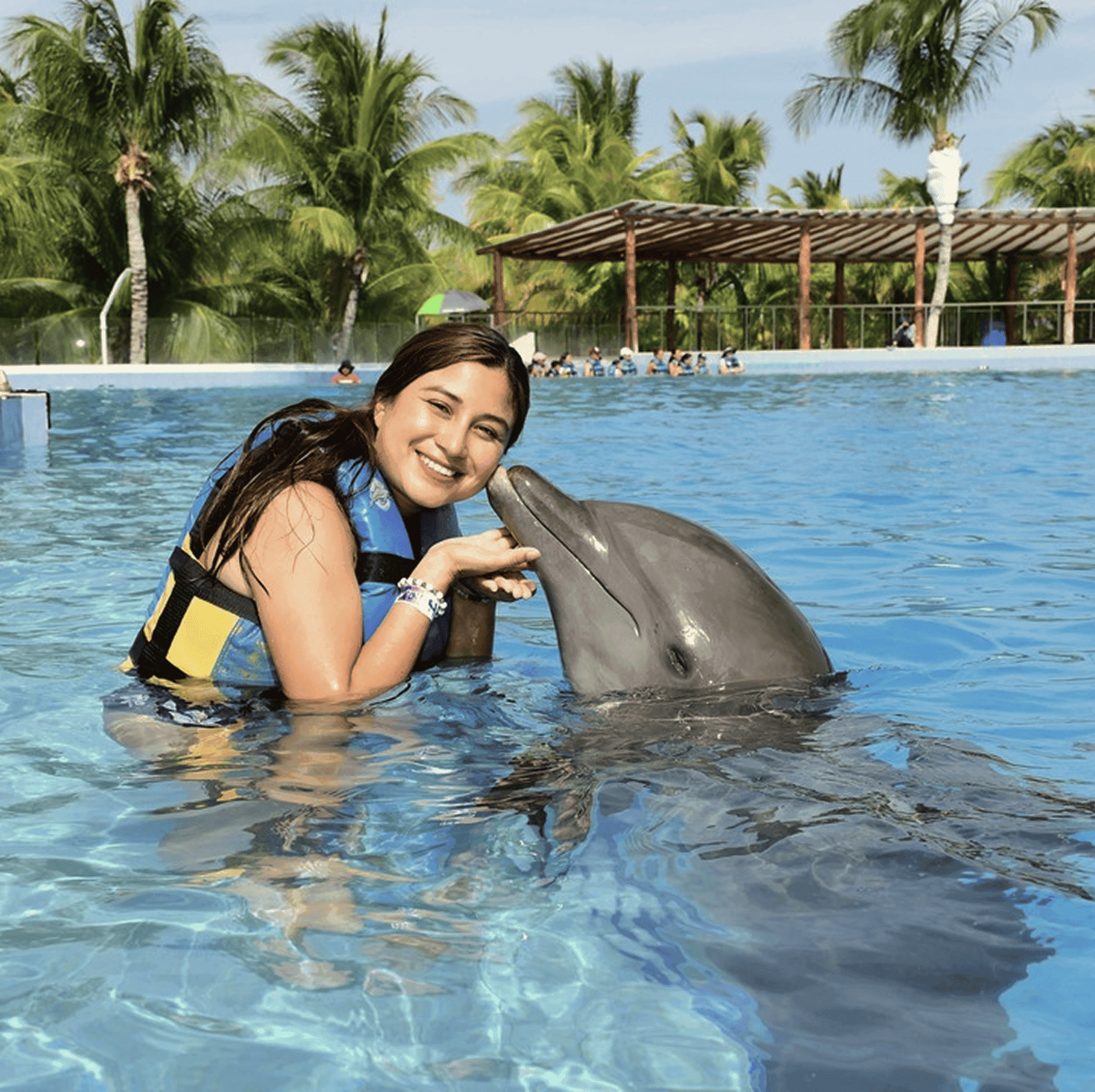 Swim with Wild Dolphins off Zanzibar