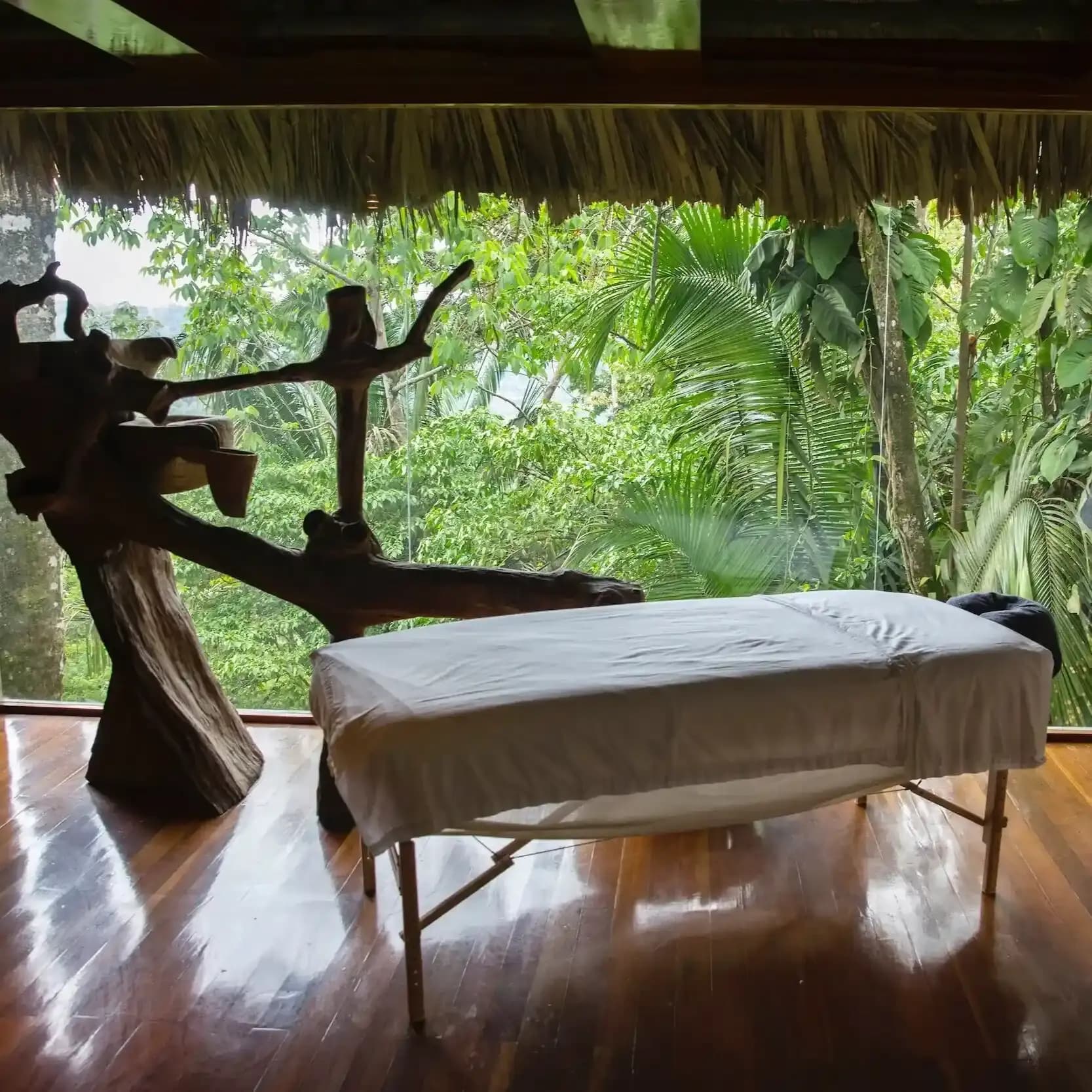 Spa Day
at a Jungle Retreat